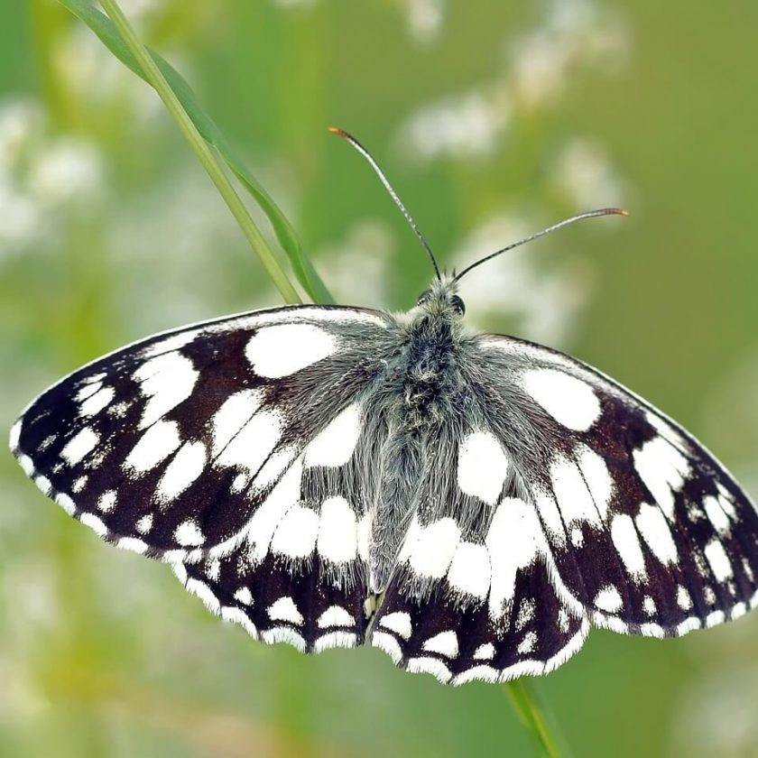 短视频自动生成电影解说