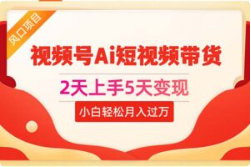 2天上手5天变现视频号AI短视频带货